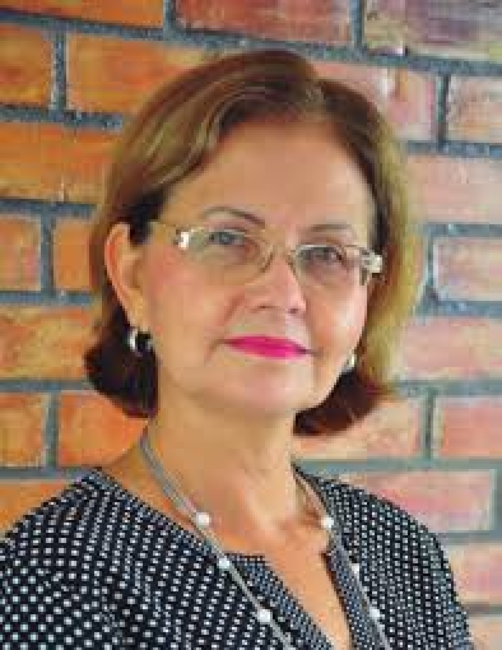 REDH BRASIL. “Capacitação de educadores da rede básica de ensino em Educação em DHS” Página inicial